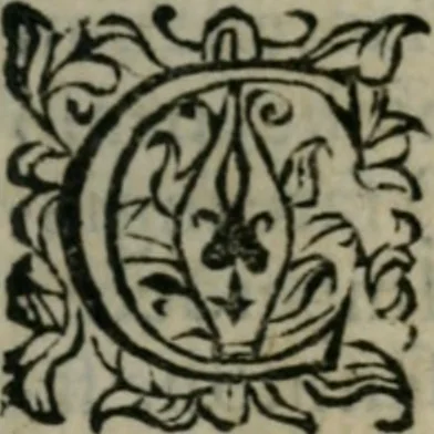 An illustration from Considerazioni d'Alimberto Mavri sopra alcvni lvoghi del Discorso di Lodouico delle Colombe intorno alla stella apparita 1604, 1606, leaf 14