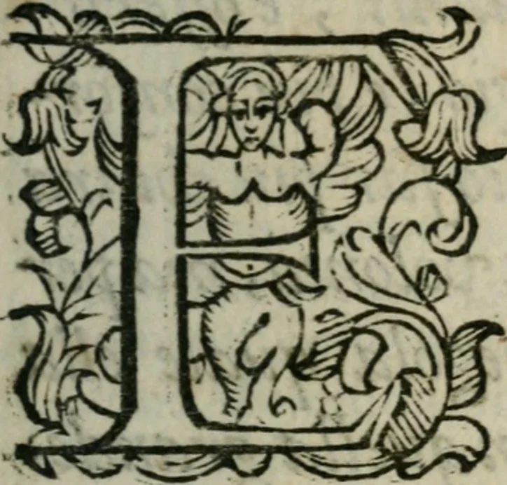 An illustration from Considerazioni d'Alimberto Mavri sopra alcvni lvoghi del Discorso di Lodouico delle Colombe intorno alla stella apparita 1604, 1606, leaf 8