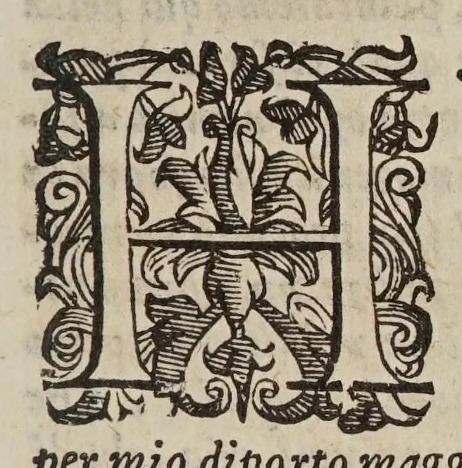 An illustration from Considerazioni sopra il Discorso del sig. Galileo Galilei intorno alle cose, che stanno in sù l'acqua, o che in quella si muouono ..., 1612, leaf 17