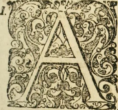 An illustration from Consiliorum. Studio & operâ collectorum .., 1649, leaf 20