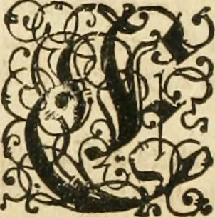 An illustration from Consiliorum. Studio & operâ collectorum .., 1649, leaf 529