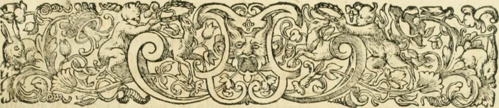 An illustration from Consiliorum. Studio & operâ collectorum .., 1649, leaf 6