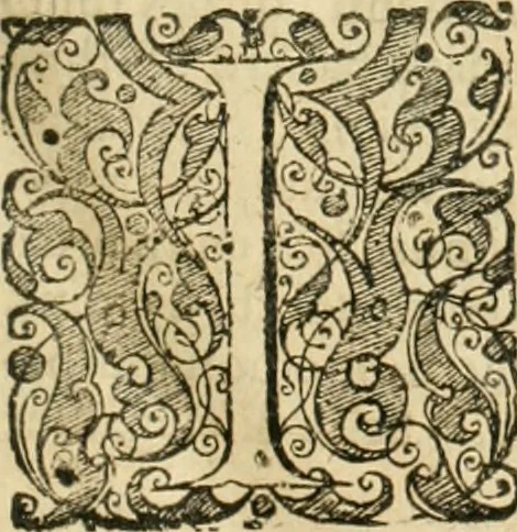 An illustration from Consiliorum. Studio & operâ collectorum .., 1649, leaf 6