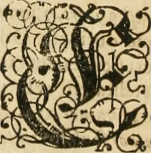 An illustration from Consiliorum. Studio & operâ collectorum .., 1649, leaf 809