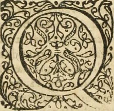 An illustration from Consiliorum. Studio & operâ collectorum .., 1649, leaf 835