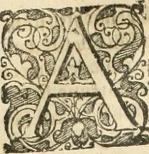 An illustration from Consiliorum. Studio & operâ collectorum .., 1649, leaf 871