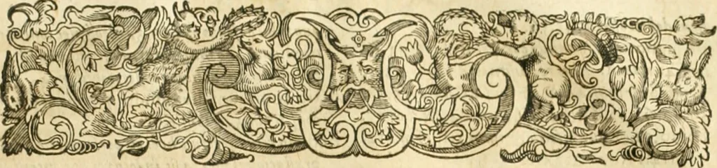 An illustration from Consiliorum. Studio & operâ collectorum .., 1649, leaf 874