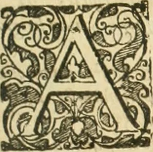 An illustration from Consiliorum. Studio & operâ collectorum .., 1649, leaf 874