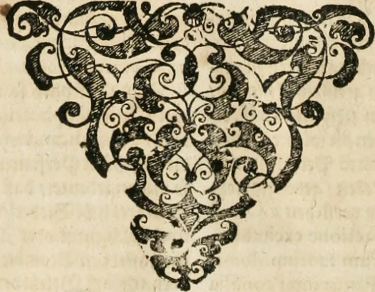 An illustration from Consiliorum. Studio & operâ collectorum .., 1649, leaf 1013