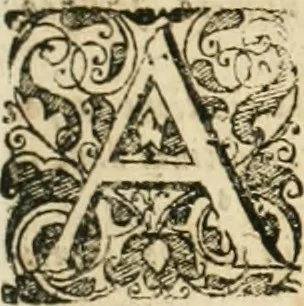 An illustration from Consiliorum. Studio & operâ collectorum .., 1649, leaf 1014