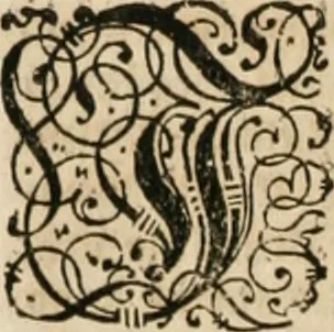 An illustration from Consiliorum. Studio & operâ collectorum .., 1649, leaf 147