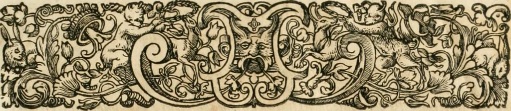 An illustration from Consiliorum. Studio & operâ collectorum .., 1649, leaf 18