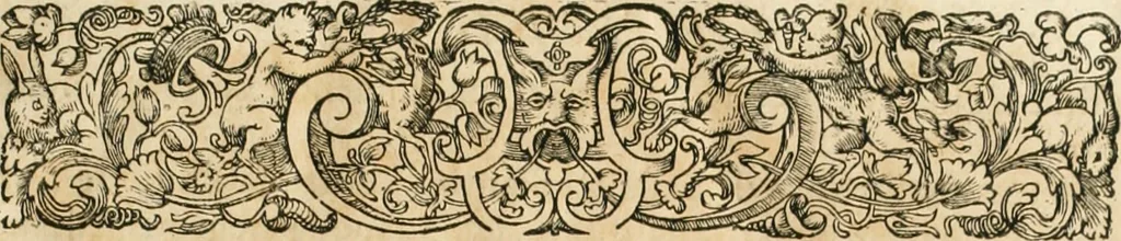 An illustration from Consiliorum. Studio & operâ collectorum .., 1649, leaf 4