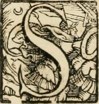 An illustration from Consiliorum. Studio & operâ collectorum .., 1649, leaf 717