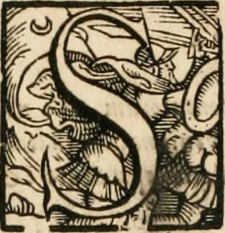 An illustration from Consiliorum. Studio & operâ collectorum .., 1649, leaf 721