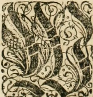 An illustration from Consiliorum. Studio & operâ collectorum .., 1649, leaf 862