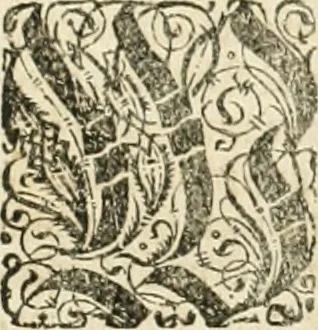 An illustration from Consiliorum. Studio & operâ collectorum .., 1649, leaf 902