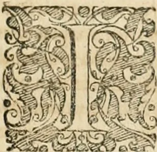 An illustration from Consiliorum. Studio & operâ collectorum .., 1649, leaf 906