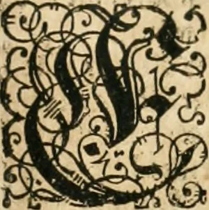 An illustration from Consiliorum. Studio & operâ collectorum .., 1649, leaf 982
