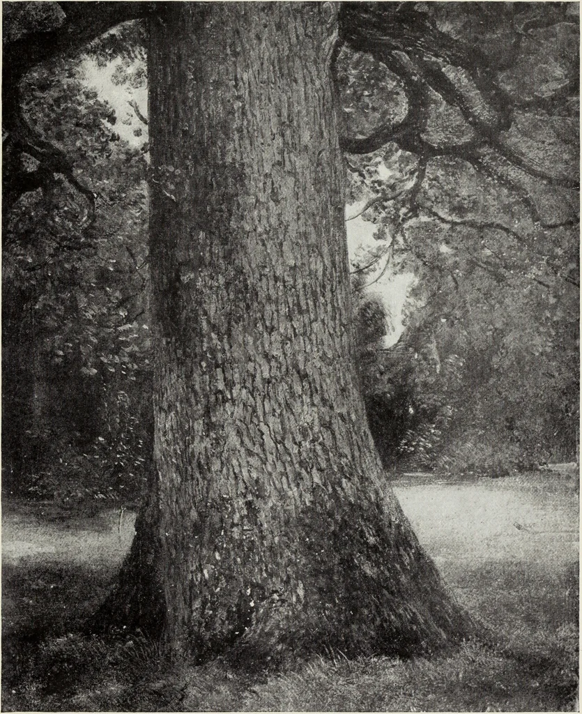 An illustration from Constable's sketches in oil & water colours, 1904, leaf 36