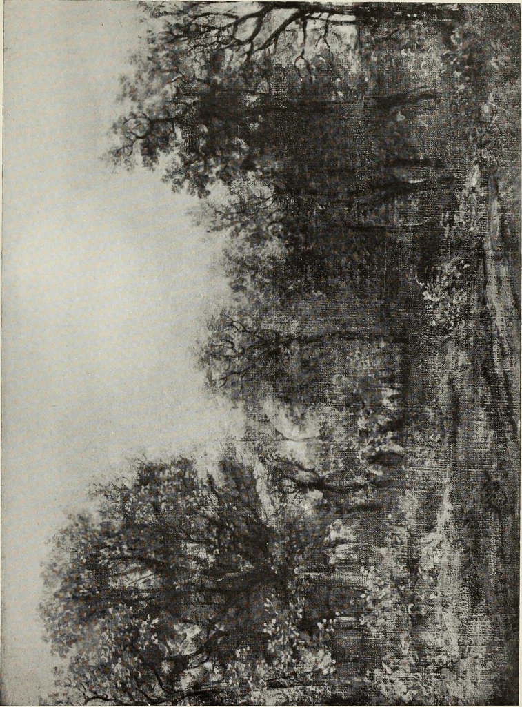An illustration from Constable's sketches in oil & water colours, 1904, leaf 60