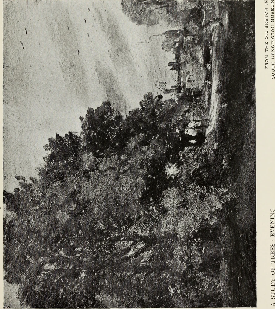 An illustration from Constable's sketches in oil & water colours, 1904, leaf 72