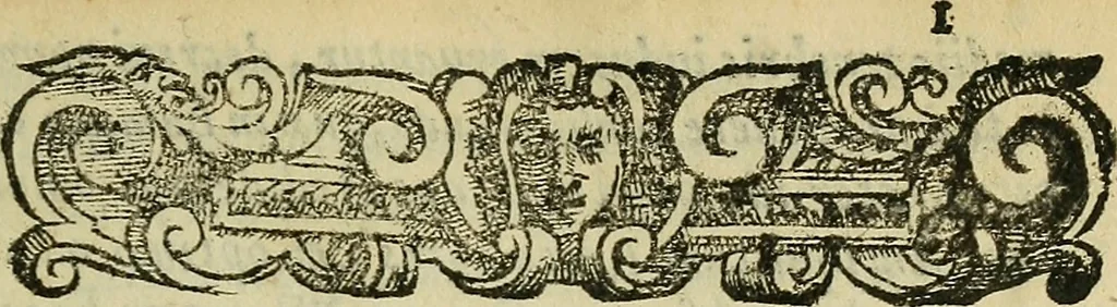 An illustration from Constantii Varolii medici Bononiensis De neruis opticis : nonnullisq[ue] aliis praeter communem opinionem in humano capite obseruatis .., 1573, leaf 22