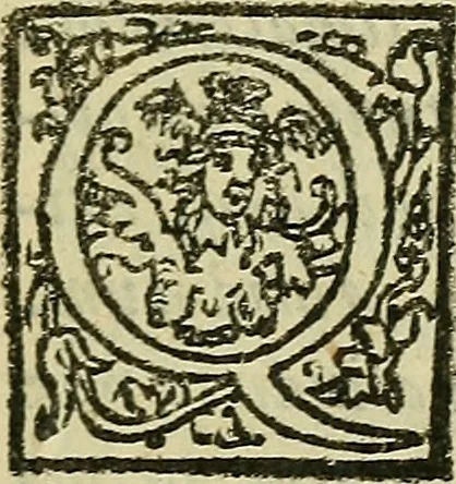 An illustration from Constantii Varolii medici Bononiensis De neruis opticis : nonnullisq[ue] aliis praeter communem opinionem in humano capite obseruatis .., 1573, leaf 22