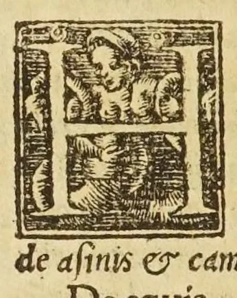 An illustration from Constantini Caesaris selectarum praeceptionum de agricultura libri uiginti, 1541, leaf 308