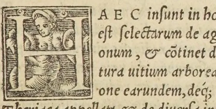 An illustration from Constantini Caesaris selectarum praeceptionum de agricultura libri uiginti, 1541, leaf 85