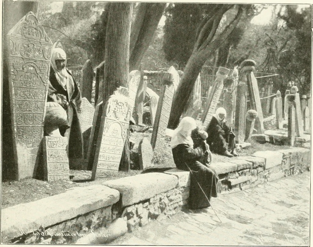 An illustration from Constantinople : ouvrage orné de 103 gravures, 1906, leaf 168