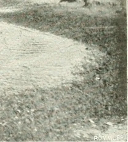 An illustration from Constantinople : ouvrage orné de 103 gravures, 1906, leaf 24