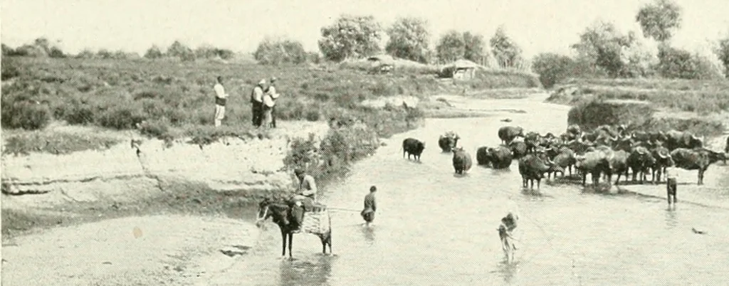 An illustration from Constantinople : ouvrage orné de 103 gravures, 1906, leaf 24