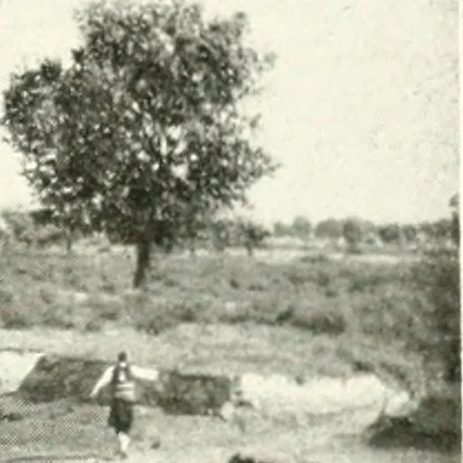 An illustration from Constantinople : ouvrage orné de 103 gravures, 1906, leaf 24