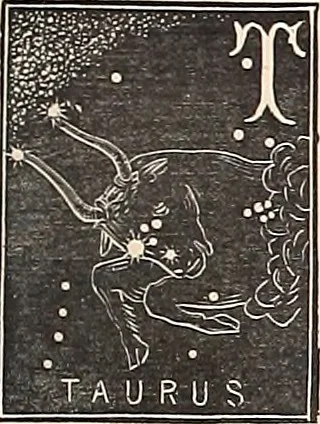 An illustration from The constellations and how to find them; 13 maps, showing the position of the constellations in the sky during each month of any year. A popular and simple guide to a knowledge of the starry heavens, with introduction, general explanations, and a separate description of each map, 1887, leaf 32