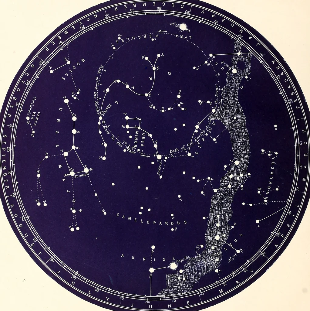 An illustration from The constellations and how to find them; 13 maps, showing the position of the constellations in the sky during each month of any year. A popular and simple guide to a knowledge of the starry heavens, with introduction, general explanations, and a separate description of each map, 1887, leaf 5