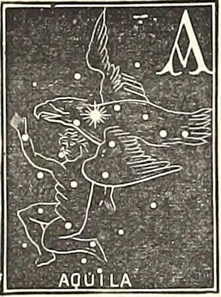 An illustration from The constellations and how to find them; 13 maps, showing the position of the constellations in the sky during each month of any year. A popular and simple guide to a knowledge of the starry heavens, with introduction, general explanations, and a separate description of each map, 1887, leaf 51