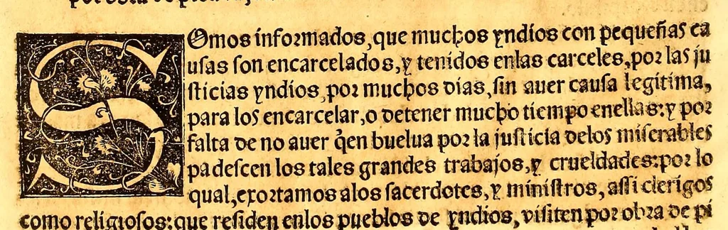 An illustration from Constituciones del arçobispado y prouincia de la muy ynsigne y muy leal ciudad de Tenuxtitla[n] Mexico de la nueua España, 1556, leaf 70