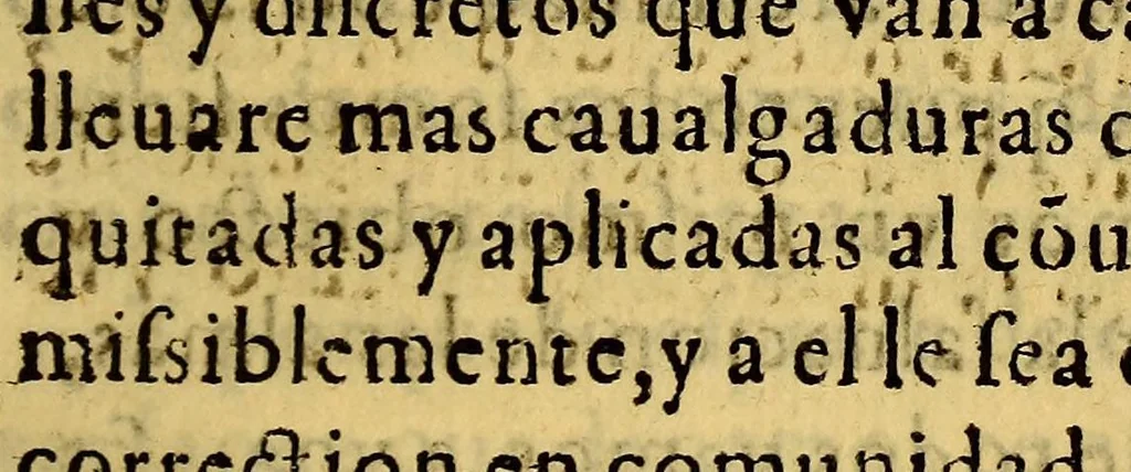 An illustration from Constituciones de los F. Menores desta Provincia delos doze Apostoles del Piru. : Reformadas en el capitulo prouincial celebrado en la ciudad de los Reyes por por [sic] el mes de agosto. año MDCI, 1601, leaf 29