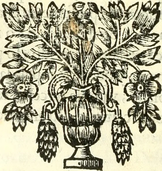 An illustration from Constituciones synodales antigvas, y modernas del obispado de Calahorra y la Calzada. Reconocidas, reformadas, y avmentadas novissamamente por Pedro de Lepe, en el synodo diocesano, qve celebro en la civdad de Logroño en el año de mil y seiscientos y noventa y ocho, 1700, leaf 341
