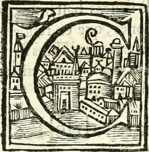 An illustration from Constituciones synodales antigvas, y modernas del obispado de Calahorra y la Calzada. Reconocidas, reformadas, y avmentadas novissamamente por Pedro de Lepe, en el synodo diocesano, qve celebro en la civdad de Logroño en el año de mil y seiscientos y noventa y ocho, 1700, leaf 342