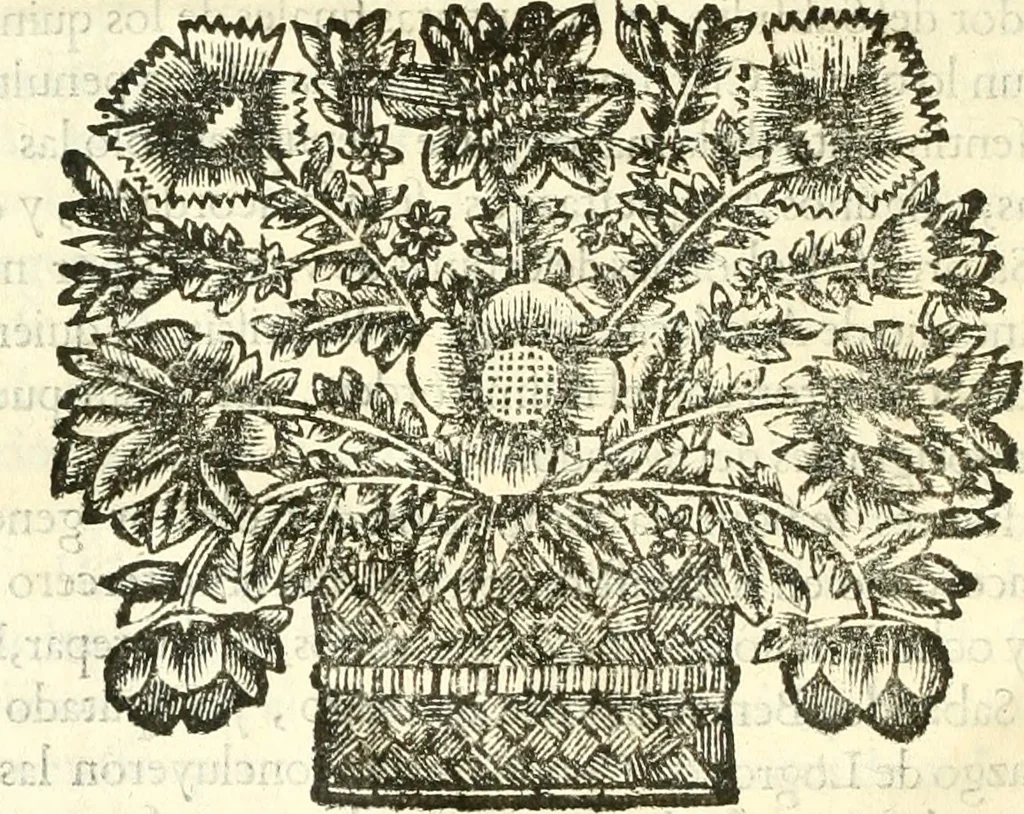 An illustration from Constituciones synodales antigvas, y modernas del obispado de Calahorra y la Calzada. Reconocidas, reformadas, y avmentadas novissamamente por Pedro de Lepe, en el synodo diocesano, qve celebro en la civdad de Logroño en el año de mil y seiscientos y noventa y ocho, 1700, leaf 65