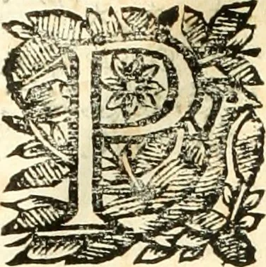 An illustration from Constituciones synodales antigvas, y modernas del obispado de Calahorra y la Calzada. Reconocidas, reformadas, y avmentadas novissamamente por Pedro de Lepe, en el synodo diocesano, qve celebro en la civdad de Logroño en el año de mil y seiscientos y noventa y ocho, 1700, leaf 67
