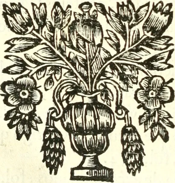 An illustration from Constituciones synodales antigvas, y modernas del obispado de Calahorra y la Calzada. Reconocidas, reformadas, y avmentadas novissamamente por Pedro de Lepe, en el synodo diocesano, qve celebro en la civdad de Logroño en el año de mil y seiscientos y noventa y ocho, 1700, leaf 899