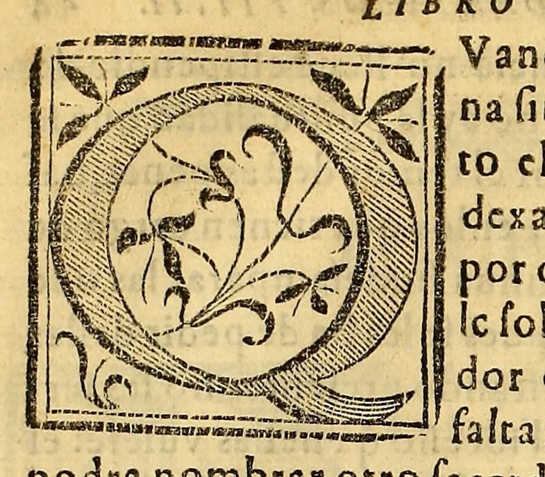 An illustration from Constituciones synodales del Arçobispado de los Reyes en el Piru. Hechas y ordenadas por el illustrissimo y reverendissimo señor don Bartholome Lobo Guerrero arçobispo de la dicha ciudad de los Reyes del Consejo de su Magestad. Y publicadas en la synodo diocesana que su señoria illustrissima celebro en la dicha ciudad en el año del Señor de 1613., 1614, leaf 104