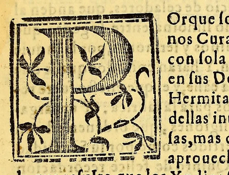 An illustration from Constituciones synodales del Arçobispado de los Reyes en el Piru. Hechas y ordenadas por el illustrissimo y reverendissimo señor don Bartholome Lobo Guerrero arçobispo de la dicha ciudad de los Reyes del Consejo de su Magestad. Y publicadas en la synodo diocesana que su señoria illustrissima celebro en la dicha ciudad en el año del Señor de 1613., 1614, leaf 129
