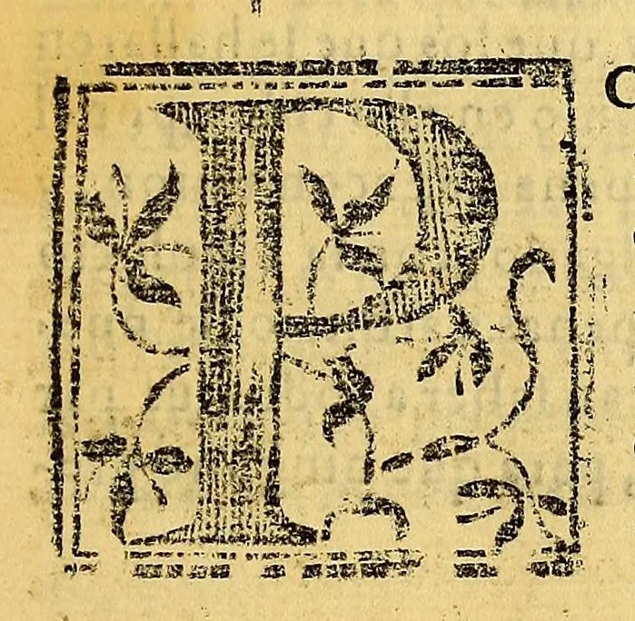 An illustration from Constituciones synodales del Arçobispado de los Reyes en el Piru. Hechas y ordenadas por el illustrissimo y reverendissimo señor don Bartholome Lobo Guerrero arçobispo de la dicha ciudad de los Reyes del Consejo de su Magestad. Y publicadas en la synodo diocesana que su señoria illustrissima celebro en la dicha ciudad en el año del Señor de 1613., 1614, leaf 169
