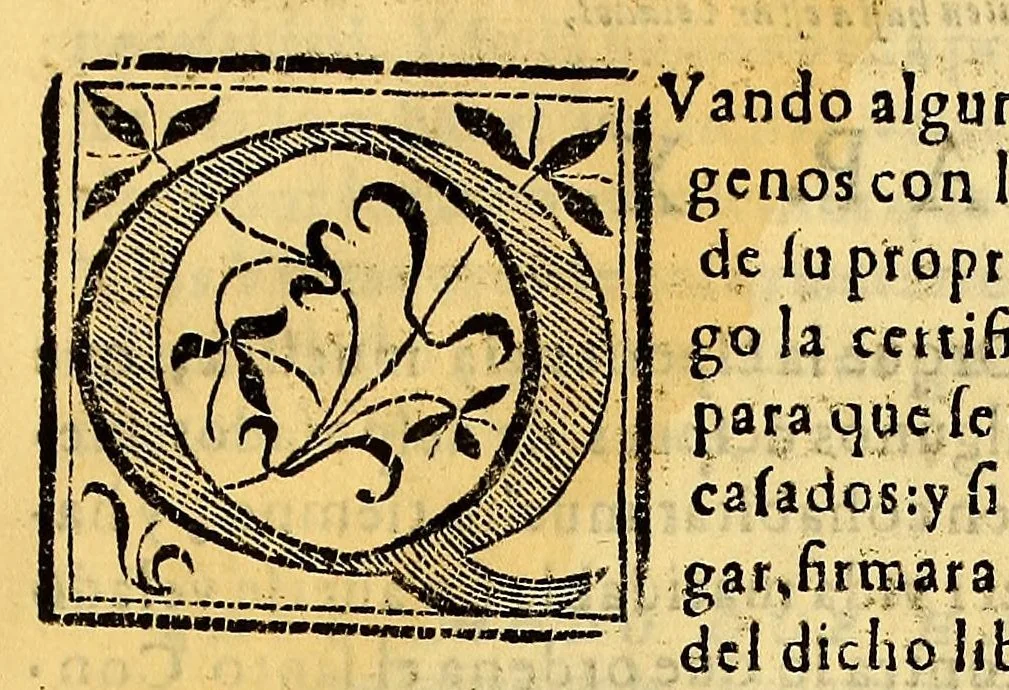 An illustration from Constituciones synodales del Arçobispado de los Reyes en el Piru. Hechas y ordenadas por el illustrissimo y reverendissimo señor don Bartholome Lobo Guerrero arçobispo de la dicha ciudad de los Reyes del Consejo de su Magestad. Y publicadas en la synodo diocesana que su señoria illustrissima celebro en la dicha ciudad en el año del Señor de 1613., 1614, leaf 175