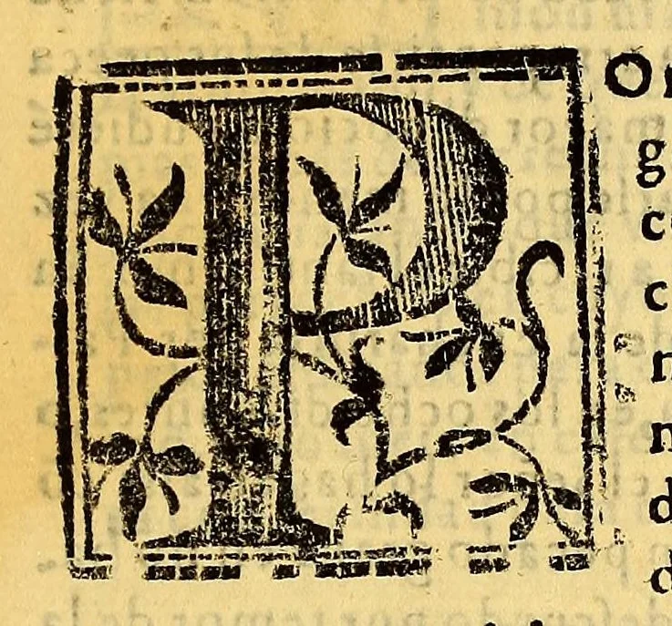 An illustration from Constituciones synodales del Arçobispado de los Reyes en el Piru. Hechas y ordenadas por el illustrissimo y reverendissimo señor don Bartholome Lobo Guerrero arçobispo de la dicha ciudad de los Reyes del Consejo de su Magestad. Y publicadas en la synodo diocesana que su señoria illustrissima celebro en la dicha ciudad en el año del Señor de 1613., 1614, leaf 179