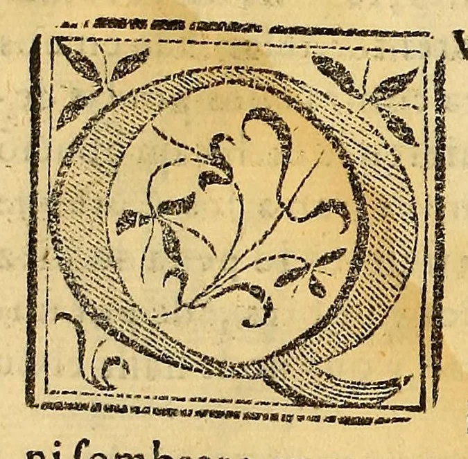 An illustration from Constituciones synodales del Arçobispado de los Reyes en el Piru. Hechas y ordenadas por el illustrissimo y reverendissimo señor don Bartholome Lobo Guerrero arçobispo de la dicha ciudad de los Reyes del Consejo de su Magestad. Y publicadas en la synodo diocesana que su señoria illustrissima celebro en la dicha ciudad en el año del Señor de 1613., 1614, leaf 182